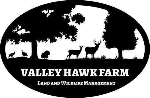 HVFlandsm